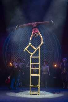 Cirque Berserk
