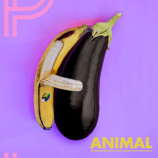 ANIMAL ANIMAL